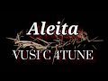 Aleita (Lyrics) Vuci C 4Tune