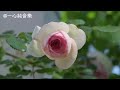 純音樂推薦《人間煙火》琵琶竹笛曲加長版，好聽輕音樂，靜心怡神 心靈音樂 冥想音樂 舒緩助眠音樂 禪修音樂 禪修調心