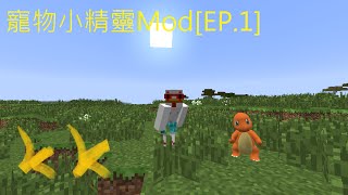 Minecraft寵物小精靈Mod - 小火龍真係好得意囉!