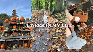 a week in my life| pumpkin patch | content days | coffee dates | cozy walks