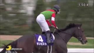 第16回チャンピオンズカップ（GI）2015/12/6サンビスタ1.5馬身差の勝利！