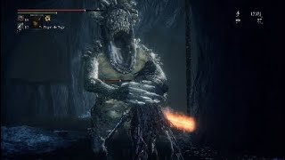 Bloodborne - Shark Giants