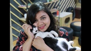 নগরে নতুন চমক ! Capawcino Cat Cafe ! কি খাব ? Ep - 5