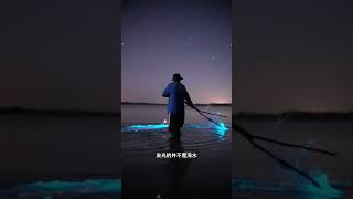 发着蓝光的海滩#有趣#好玩#解压