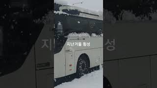 지난해 겨울  횡성에서. 금년엔 어떨까.