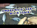 #tutorial cara buat umpan bulu