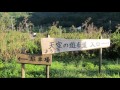 話題の岐阜のマチュピチュ？　天空の茶畑 「上ヶ流茶園」天空の遊歩道　ハイキングコース 岐阜県揖斐郡春日村上ヶ流地区