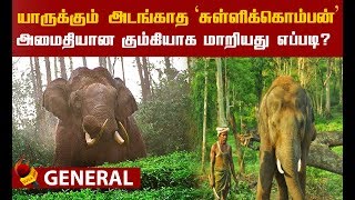 ஆக்ரோஷ 'சுள்ளிக்கொம்பன்'..! அடக்கிய கும்கி யானைகள்! ஒரு பரபர கதை!