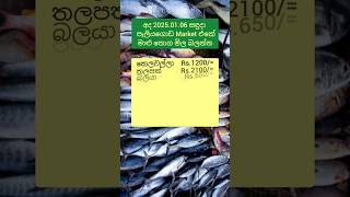 2025.01.06 සඳුදා පෑලියගොඩ මාළු මිල ගණන් Today fish price list in srilanka #fish #fishing #fishmarket