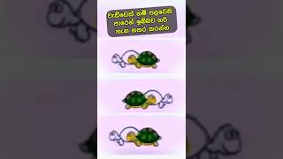 වැඩ්ඩෙක් නම් ට්‍රයි කරල බලන්න #sinhala #youtubeshorts #srilanka #funny #trendingshorts