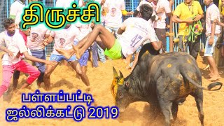 பள்ளப்பட்டி ஜல்லிக்கட்டு 2019 Highlights