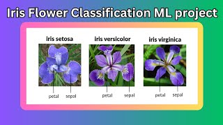Iris Flowers Classification Machine Learning Project (Python)