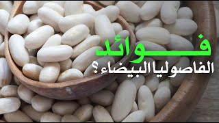 ما هي فوائد الفاصوليا البيضاء ؟