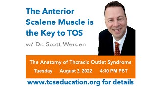 The Anatomy of Thoracic Outlet Syndrome: The Anterior Scalene Muscle is the Key to TOS