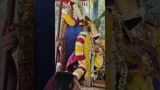 அலர்மேலு மங்கை தாயார் வழிபாடு Alarmelu Mangai Thayar Prayer