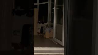 A Real Demon Caught On Camera Raw