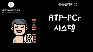 【25회 운동생리학기초】 ATP-PCr시스템