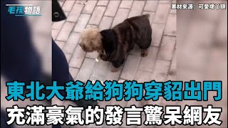 東北豪橫大爺給狗狗穿貂，豪氣發言驚呆網友：家裡還有好幾個呢！