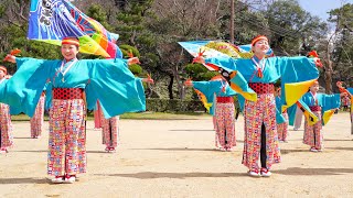 [4K] こねくしょん　縁d roll よさこい　ステージ会場 (中央)