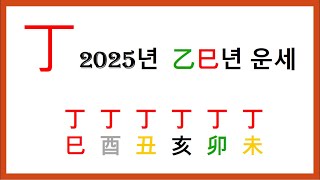 2025년 을사년 정일간 일주별 운세 ㅣ 준비하던 것은 마무리 하고 실적을 내야 할 때 입니다