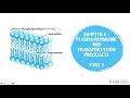 Plasma Membrane Model