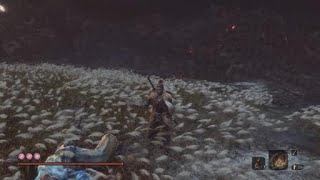 手殘黨打隻狼_Sekiro™: Shadows Die Twice_葦名弦一郎+葦名一心