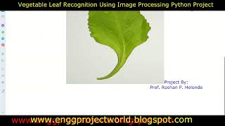 Vegetable Leaf Recognition Using Image Processing Python Project With Source Code