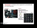 10.1 u0026 10.2 intro meiosis