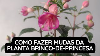 Brinco de Princesa: Saiba Como Fazer Mudas