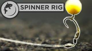 How To Tie The Spinner or Ronnie Rig For Carp Fishing