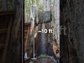 What it looks like to shower inside of a redwood tree