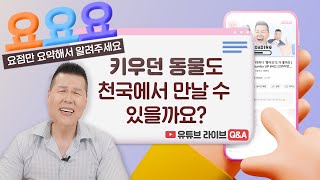 우리집 강아지랑 고양이, 천국에서 만날 수 있을까요?  | 요요요 Q\u0026A #9