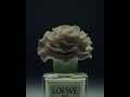 🌸 loewe x lladró a fragrance of elegance 🌟 loewelladró luxuryperfume scentofelegance artistry