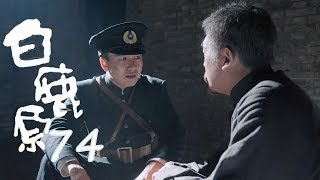 白鹿原 | White Deer 74【DVD版】（張嘉譯、秦海璐、何冰等主演）