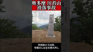 2003年 奥多摩川苔山滑落事故