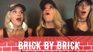 Brick by brick- The Deplorable Choir