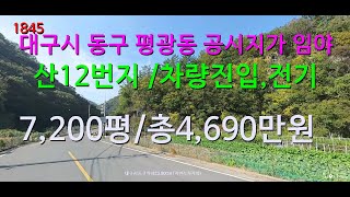 [번호 1845}대구시 동구 평광동 산12번  공시지가 급매