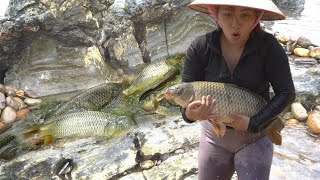 Fishing technique: stacked stones together to create a unique fish trap. Caught many big fish