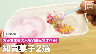 大人も楽しい！？お子さまと一緒に！知育菓子2選