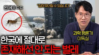 한국을 충격에 빠트릴 것이라는 충격적인 해충 '국가 초비상' (앞으로 집이 무너질 수 있습니다...)