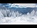 WINTER | Black Forest National Park