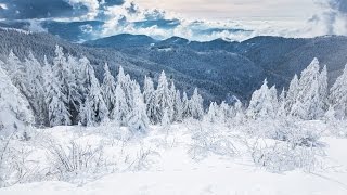 WINTER | Black Forest National Park