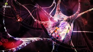 528 Hz Miracle Nerve Healing Frequency, DNA Repair, Nerve & Cell Regeneration, Complete Body Healing