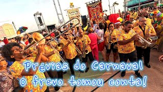 FREVO NAS RUAS! O melhor Carnaval do Brasil! 💃🎶#Recife #carnavaldepernambuco