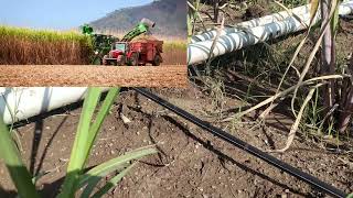 ऊस पिकासाठी कमी खर्चामध्ये ठिबक सिंचन यंत्रणा(Rs.15000 -25000)Non ISI Drip Irrigation for Sugarcane