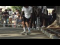 go skateboarding day 2016 la transworld skateboarding