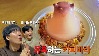 카피바라 푸딩 카페!?