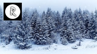 Blizzard Storm, Relaxing Sounds for Sleep | Howling Wind \u0026 Snowstorm, Winter Ambiance 4K