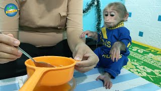 Kobi Monkey obediently waits for her mother to make orange juice