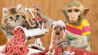 Monkey Baby BiBOn scolded Experiment: MEAT GRINDER helps dog in the cave